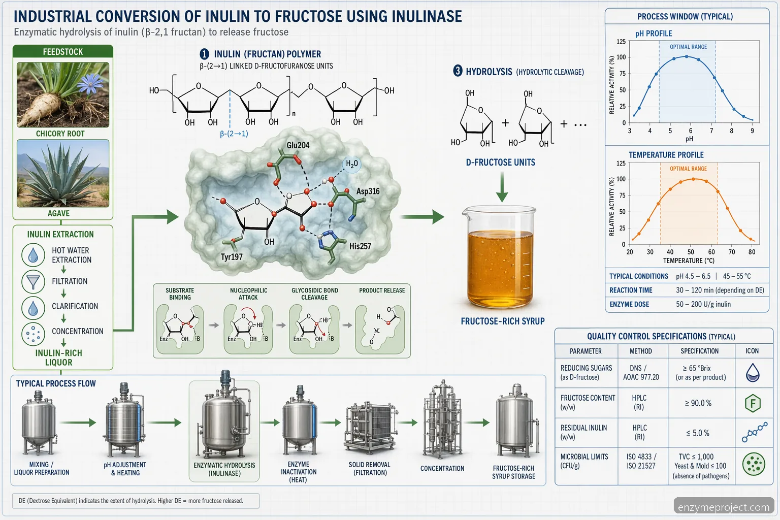 what is inulin process diagram showing inulinase hydrolysis of fructan chains into fructose with pH and QC panels